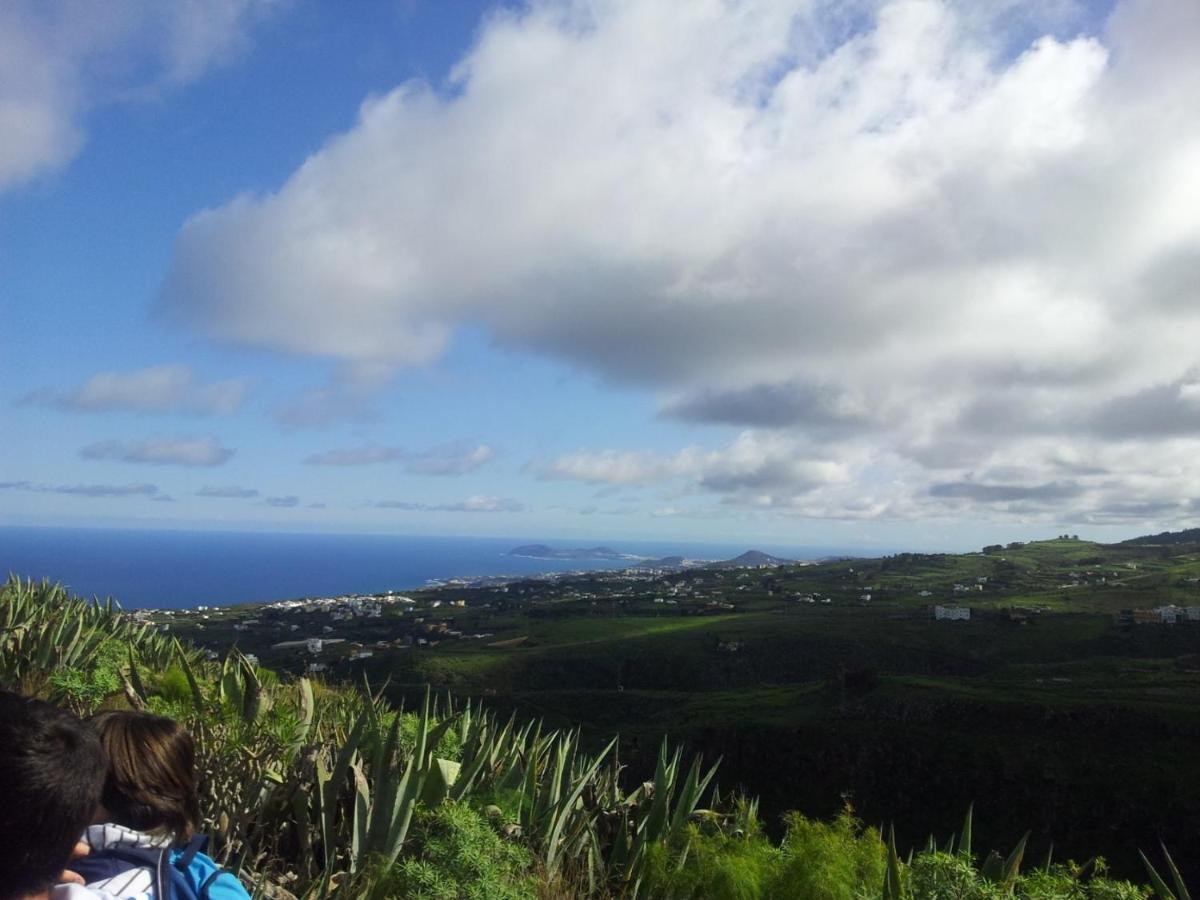 Tonono'S Village Santa Maria de Guia de Gran Canaria Exterior photo